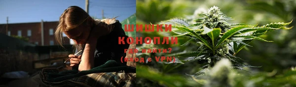 ГАЛЛЮЦИНОГЕННЫЕ ГРИБЫ Верхний Тагил