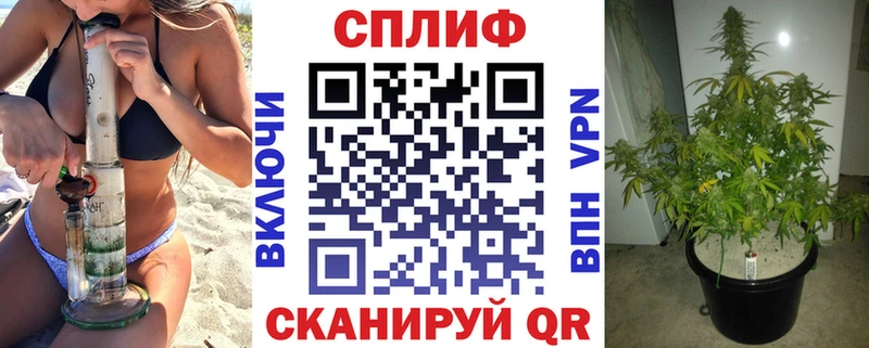 Канабис LSD WEED  где продают наркотики  Ессентуки 